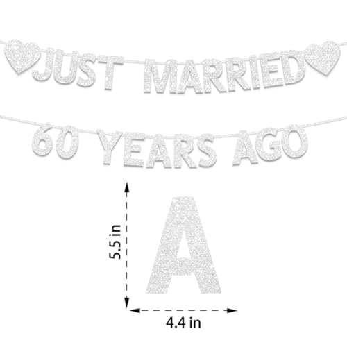 60th Wedding Anniversary Banner - Silver Glitter Decorations