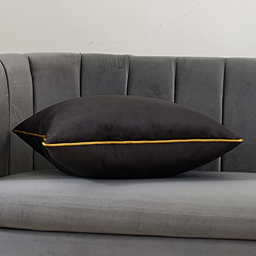 Avigers Black Velvet Lumbar Pillow Cover 12x20 Inch with Hidden Zipper