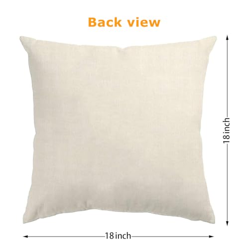 Spring Farmhouse Throw Pillow Covers 18x18, Set of 4 (Spring 02)