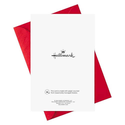 Hallmark Valentine's Day Card Pack - 6 Red Heart Cards with Envelopes