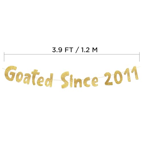 Gold Glitter 15th Birthday Banner - Pre-Strung Party Decoration
