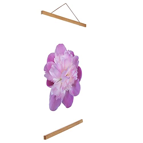 Aynoo Magnetic Poster Hanger Frame - Teak, 8x10 & 8x12 Sizes