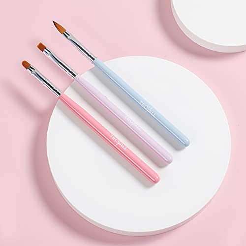 TEOYALL 6-Piece Professional Nail Art Brush and Dotting Tool Set