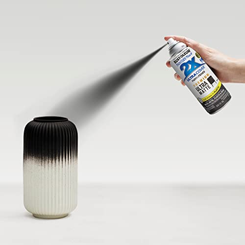Rust-Oleum Painter's Touch 2X Ultra Cover Spray Paint, Ultra Matte Black, 12oz (Pack of 6)