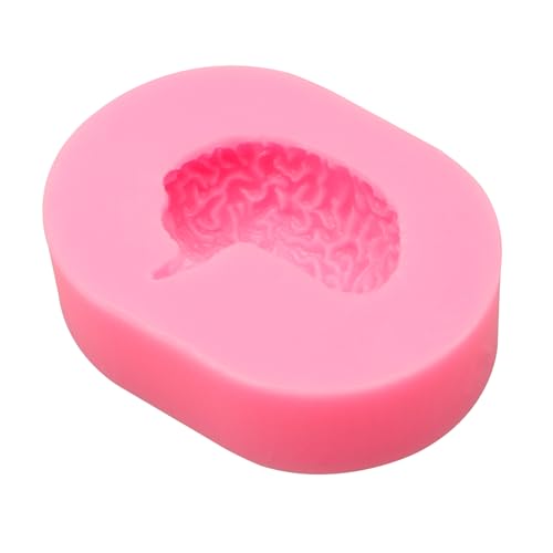 Brain Silicone Molds - 2 Pcs Human Organs Dessert Molds