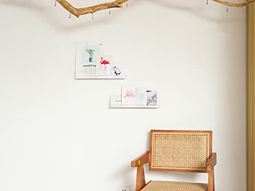 LikeU Clear Acrylic Nail Polish Wall Rack - 2 Pack Floating Shelves