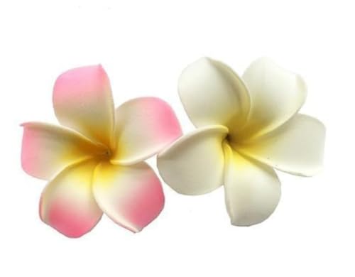 Plumeria Flower Hair Clips 2Pcs Tropical Hawaiian Frangipani Barrettes