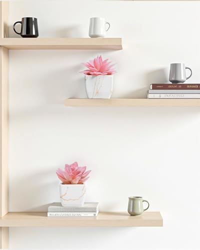 Taybonds Artificial Succulent in Elegant White Ceramic Pot - 2PCS