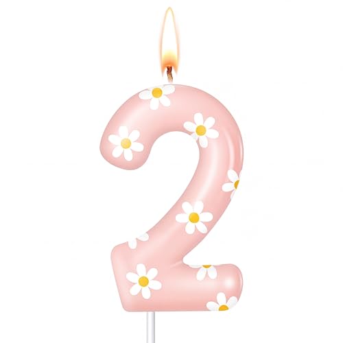 Conelist Number 2 Daisy Birthday Candle - Pink Flower Cake Topper