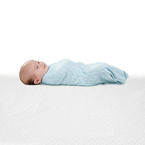 SwaddleMe by Ingenuity Compression Baby Swaddle Pod, Two-Way Zipper for Easy Diaper Changes, Improves Sleep & Calms Startle Reflex, 0-2 Months, 1.0 TOG, 2-Pack - Dino Jam