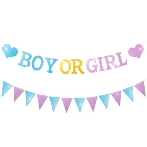 5ft Gender Reveal Banner - Blue & Pink Baby Shower Decor