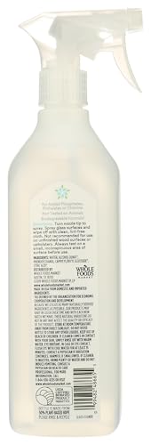 Professional Strength Unscented Glass Cleaner - 26 Fl Oz