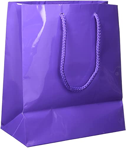 Solid Purple Glossy Medium Gift Bag - 9.5"H x 7.75"W x 4.5"D - Eco-Friendly Event Packaging