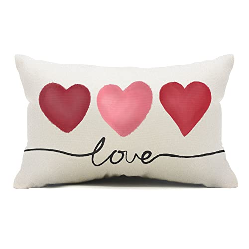 Valentine's Day Pillow Cover 12x20 Pink Heart Design - DFXSZ