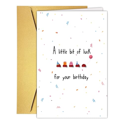 Cute Ladybug Birthday Card with Envelope for Friends and Family