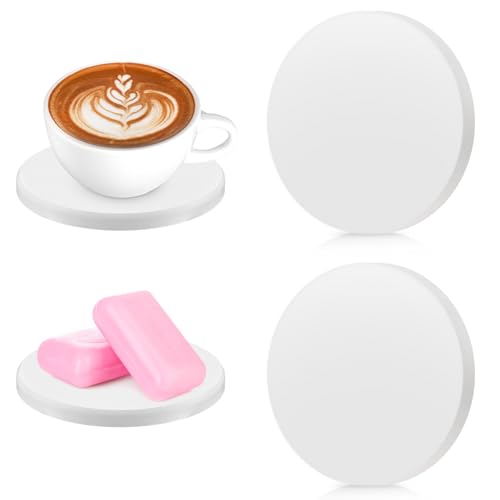 Diatomaceous Earth Coasters - 2 Pack Absorbent Sink Trays
