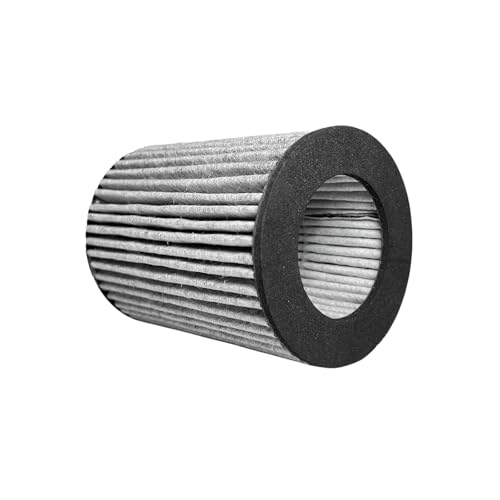 Nispira 2-in-1 HEPA & Activated Carbon Filter for Air Purifier