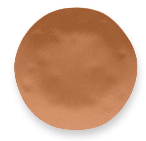 Abode Homewares Planta 10.5'' Dinner Plate Durable Planta Indoor/Outdoor, Shatter-Resistant, and Dishwasher Safe Dinnerware for Camping and Outdoor Dining - Matte Terracotta - Set of 6