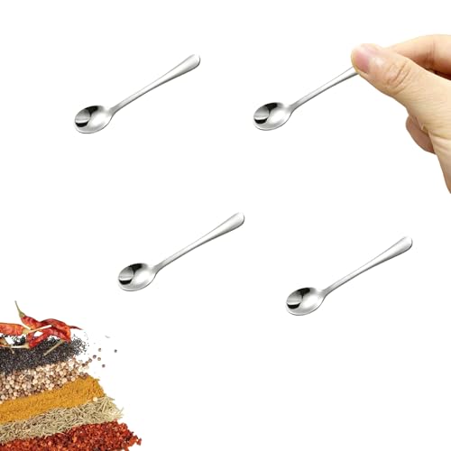 Asanta 2.87-Inch Tiny Stainless Steel Spice Spoons - 4 Piece Set