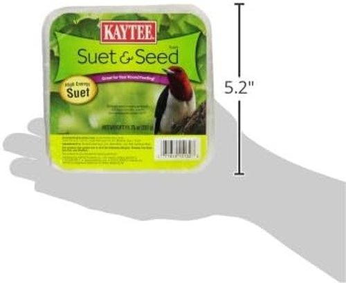 Kaytee High Energy Suet - 11.75 Ounces of Nutritious Bird Feed for Wild Birds