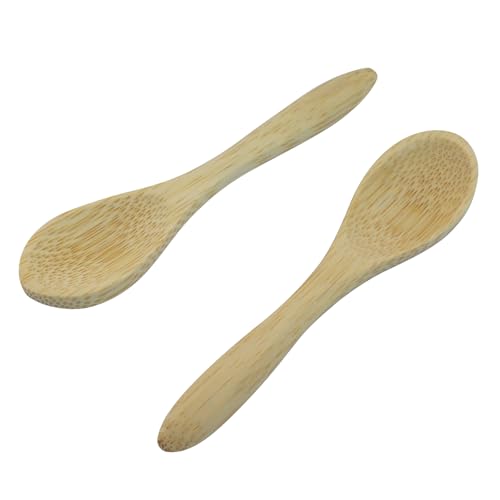 Mini Bamboo Wooden Spoons - 3.4 Inch, 4 Pcs for Cooking & Serving