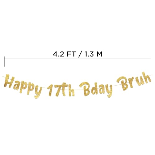 Pre-Strung Gold Glitter 17th Birthday Banner for Teens