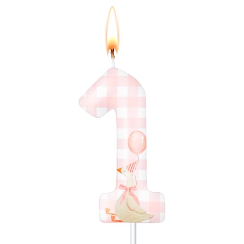 Silly Goose Cake Topper Candle - Pink Birthday Decoration