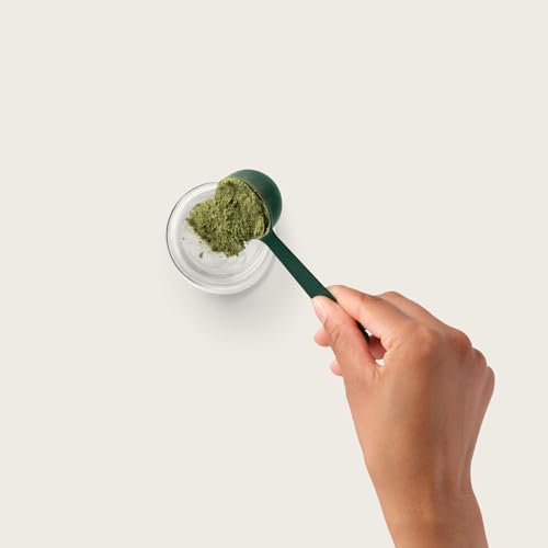AG1 Premium Stainless Steel Measuring Scoop for Supplements