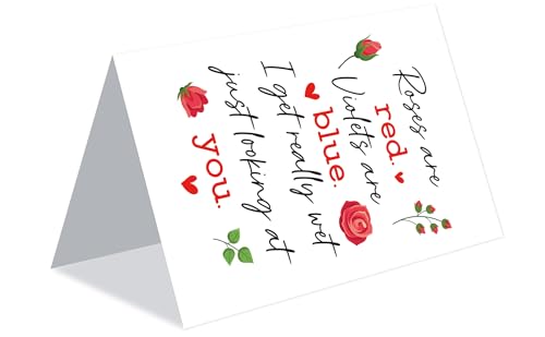 Funny Rude Anniversary Card - Explicit Roses Are Red Poem