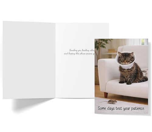 Funny Get Well Soon Card - Grumpy Cat Design, 5x7 with Envelope