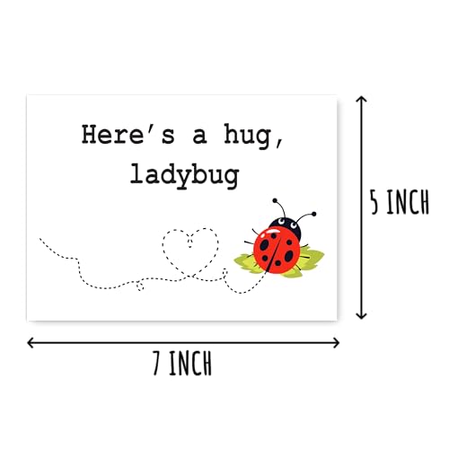 Here's a Hug Ladybug Greeting Card - Blank Inside, 5x7