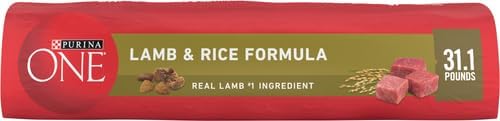 Purina ONE Dry Dog Food - Lamb & Rice Formula for Healthy Digestion | 31.1 lb. Bag