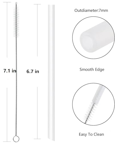 Replacement Straws for Zak Designs 19oz Water Bottle - 6 Straws & Brush