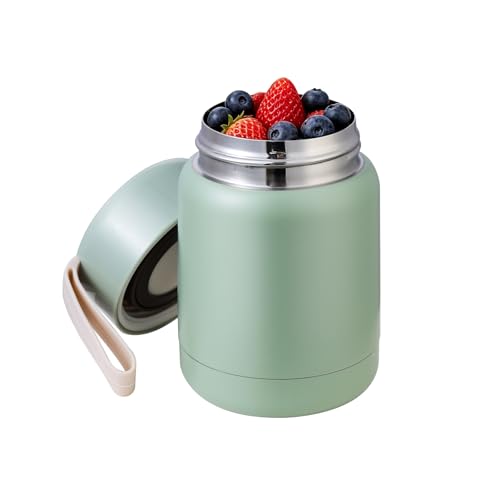 ERTOOE 10oz Insulated Food Jar, Leak-Proof Stainless Steel Lunch Container