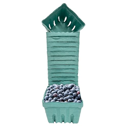 Green Berry Basket - 15 Pack Vented Produce Containers for Fruits & Vegetables