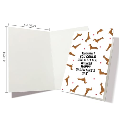 Funny Dachshund Galentine's Day Card for Best Friend, Cute Wiener Dog Greeting Card with Envelope