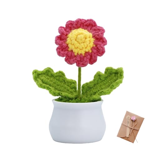 Handmade Crochet Daisies Potted Plant - Cute Desk Decor Gift