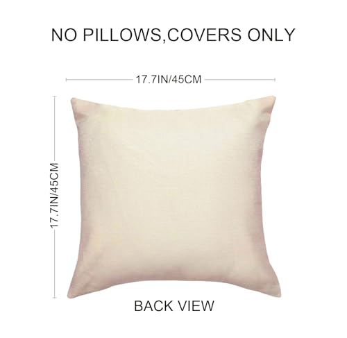 Funny Decorative Pillow Case - 'Bless This Hizzle Fo’ Shizzle' 18x18 inch Black