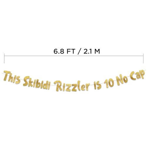 Pre-Strung Gold Glitter Skibidi Rizzler Banner for 10th Birthday