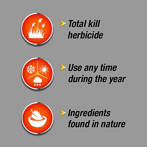 Regine Switzerland Weed Brush & Vine Killer - Fast Acting, Non-Staining Herbicide, 32 oz.