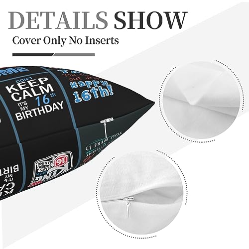 16th Birthday Gift for Boys Throw Pillow Cover, 18x18 Inch Blue Design