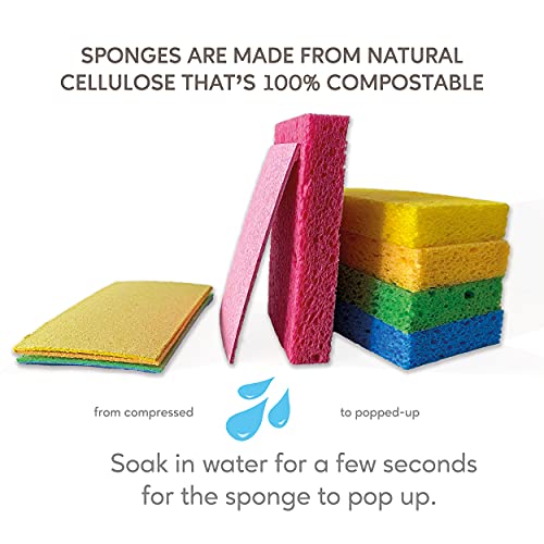 EPLANITA Natural Cellulose Pop-Up Sponges – 10 Pack Eco-Friendly Scrubbers