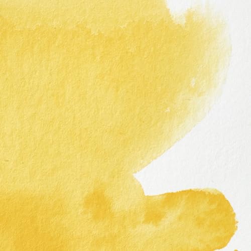 Winsor & Newton Professional Watercolor 14ml - Cadmium-Free Yellow Pale