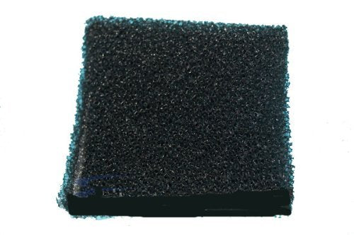 Hoover Recovery Tank Filter 38762014 for F5800 Series Carpet Cleaners