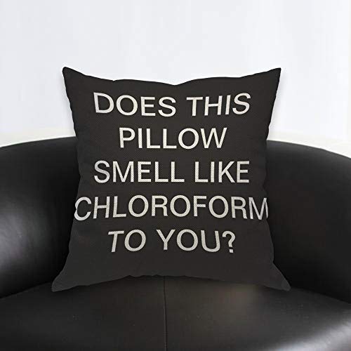 AOYEGO Multi-A6 Chloroform Quote Throw Pillow Cover 18x18 Inch Home Decor