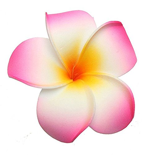 10 Pcs 5CM Artificial Plumeria Flower Hair Clips Beach Accessories