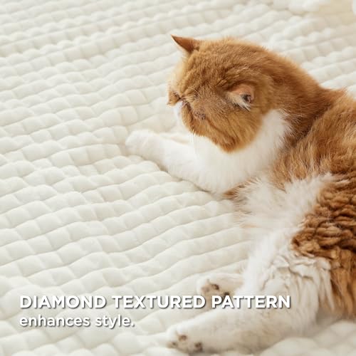 Bedsure Soft Throw Blanket for Couch - GentleSoft Fluffy Fleece Blanket for Sofa & Bed, Cozy Fuzzy Throw for All Seasons, White, 50x70 Inches