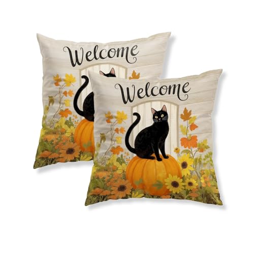 Set of 2 Fall Black Cat Pumpkin Pillow Covers - 18x18 Inch Double-Sided