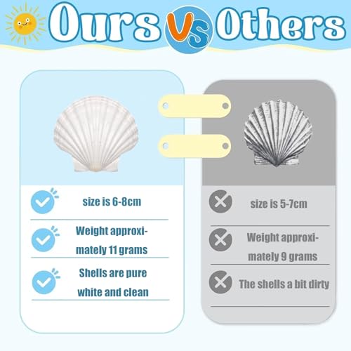 30 Natural Scallop Shells 2.3-3'' for DIY Crafts & Home Décor