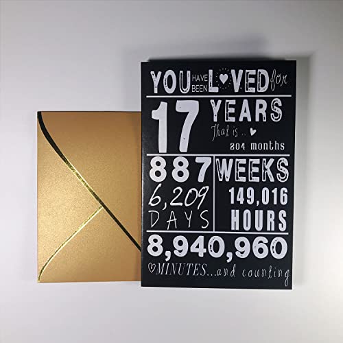 Premium Birthday Card for 17 Year Old Teen - Blank Inside, Envelope Included
